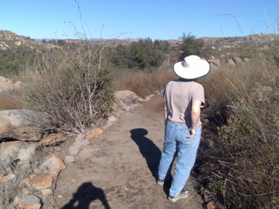N80 picture from Oak Oasis park