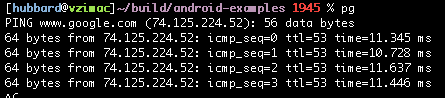 pinging google