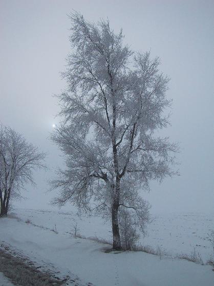 Highway 38 outside of DeKalb, IL, February 2001